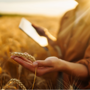 Advisor Certification