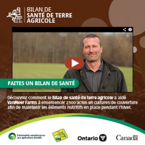 Bonnes Nouvelles Histoires